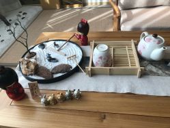 -JNK皮肤管理中心