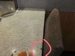 -争鲜回转寿司(金桥家乐福店)