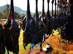 -杭州六谷生态休闲农庄有限公司