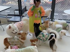 -怪兽屋·羊驼·猫咖·狗咖(俊华广场店)