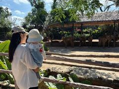-海南热带野生动植物园