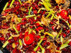 -老板恋上鱼(恒隆广场店)