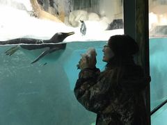 -大连圣亚海洋世界