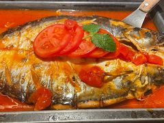 -炉鱼(亲橙里店)