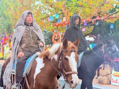 -青岛方特梦幻王国