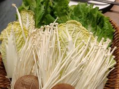 -同仁四季椰子鸡(福田车公庙店)