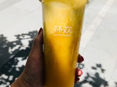 -杯欢制茶(三里屯店)