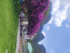 -靖西鹅泉风景区