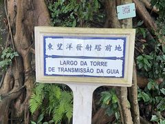 -东望洋炮台东望洋灯塔