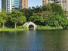 -四海公园(南山区)