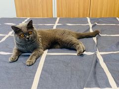 -江南厨子(益田假日广场店)