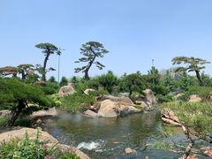 -罗红摄影艺术馆