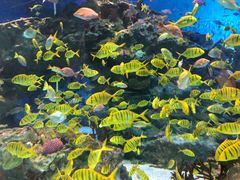 -海合安成都极地海洋公园