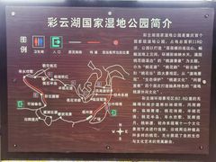 -重庆彩云湖湿地公园