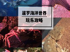 -暹罗海洋世界