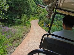 -杭州开元森泊度假乐园