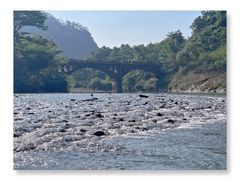 -九曲溪竹筏码头