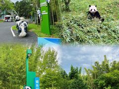 -安吉竹博园