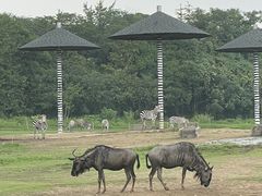 -宁波野生动物园