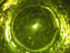 餐具摆设-阿妮叶李(光谷世界城店)