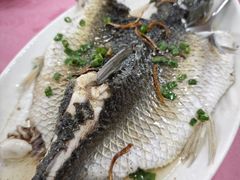 清蒸山坑鲩鱼-烧鸭佬农庄
