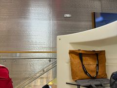 -达拉斯 沃斯堡国际机场