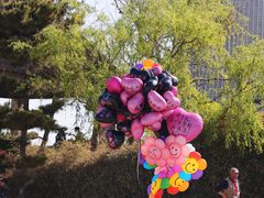 -悦海公园