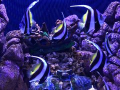 -成都浩海立方海洋公园