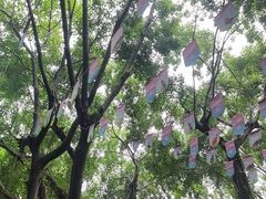 -广州长隆飞鸟乐园