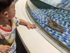 -海鲜码头·中国菜