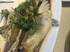 -南庄酒家·海鲜粤菜·25年老字号(环城南路店)