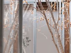 -VOYAGE COFFEE(杨梅竹店)