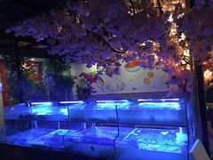 -特色酱椒鱼私房菜(黄鹤楼店)