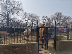 -保定市动物园