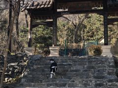 -北京鹫峰国家森林公园