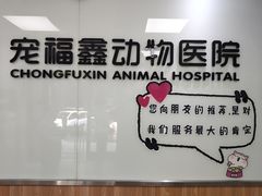 -宠福鑫动物医院(城北分院)