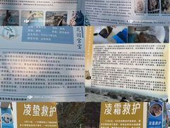 -青藏高原野生动物园