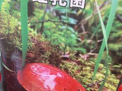 -菌乡缘·野生菌蒸汽鱼火锅(江边夜市店)