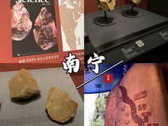 -广西壮族自治区博物馆