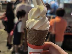 -富豪雪糕车流动点(尖沙咀店)