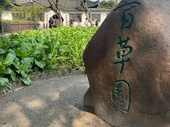 -绍兴鲁迅故里·沈园景区