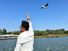 -包头南海湿地景区