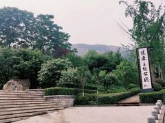 -铁山坪森林公园