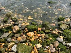 -银沙滩浴场