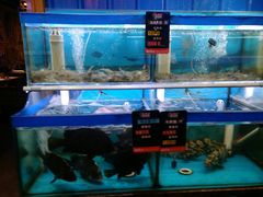 水产区-船梆煮•蒸汽海鲜·炉火烤肉(五四广场店)