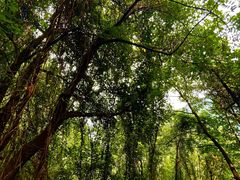 -秦岭终南山世界地质公园翠华山景区