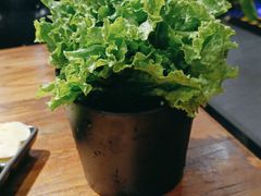 生菜-九田家黑牛烤肉料理(衡百国际店)