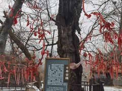 -水峪民俗村