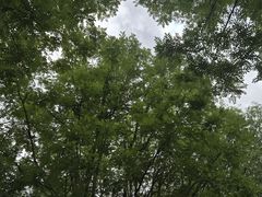 -太阳宫公园