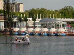 -大兴滨河森林公园